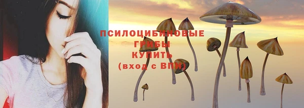 ГАЛЛЮЦИНОГЕННЫЕ ГРИБЫ Медвежьегорск