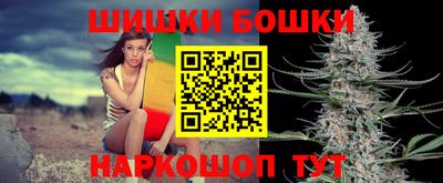 ешки Бийск