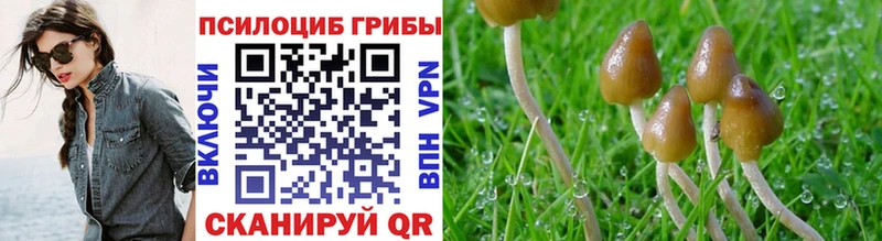 MEGA ONION  Выкса  Галлюциногенные грибы Magic Shrooms 