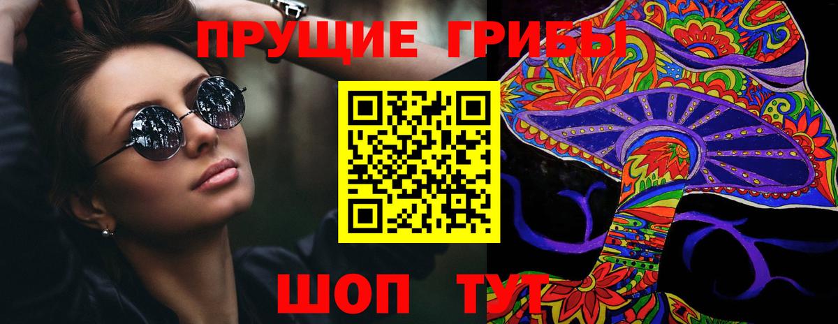 наркотики  Выкса  Галлюциногенные грибы Psilocybine cubensis 